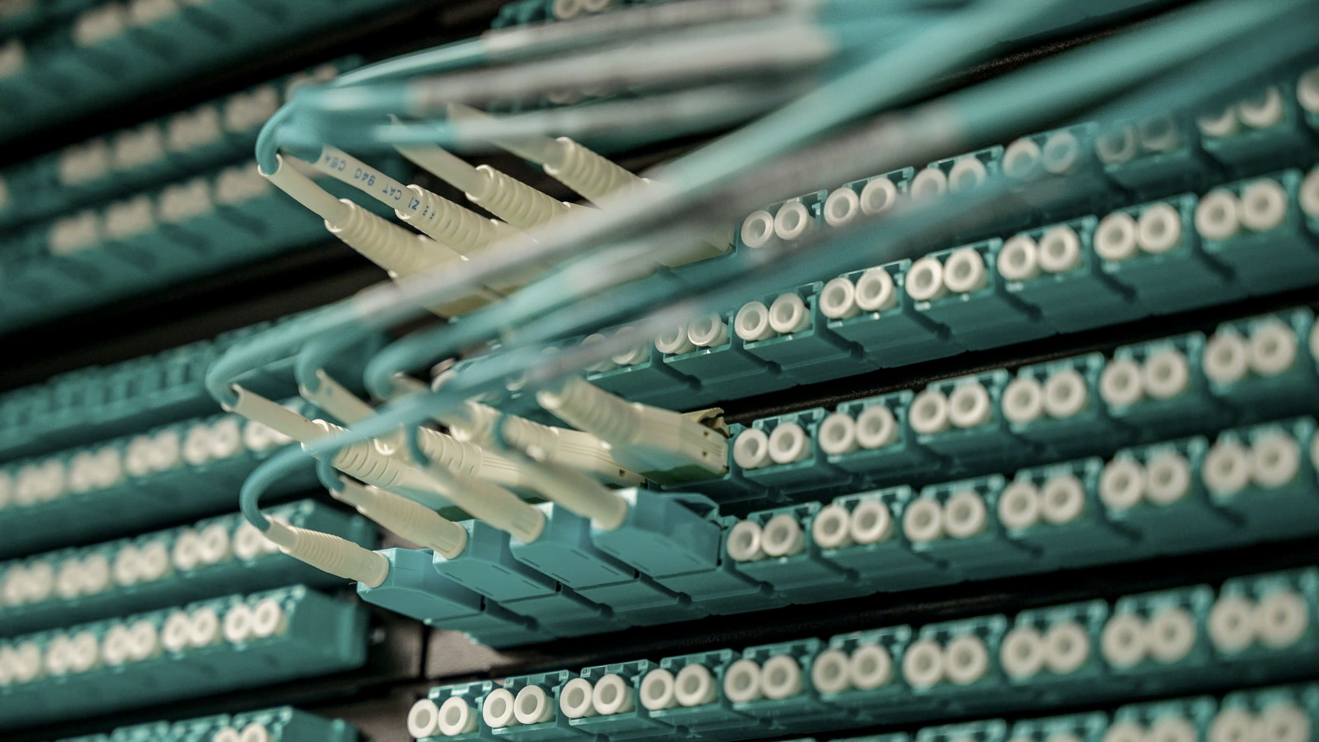 Cavi in fibra ottica attestati su un pannello di permutazione